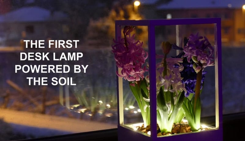 Soilution Lamp Powered by Soil Bacteria