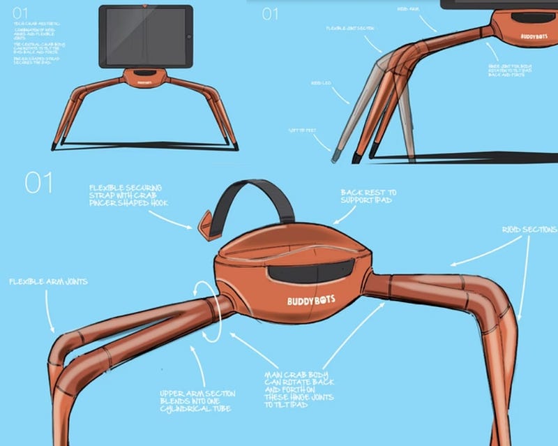 Buddy Bot Posture Device