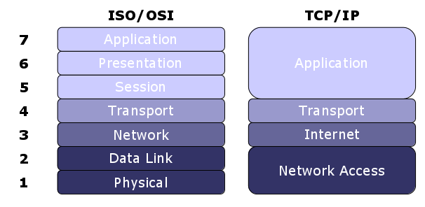 Network Protocols Explanation