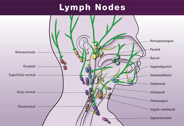 Lymphatic drainage process