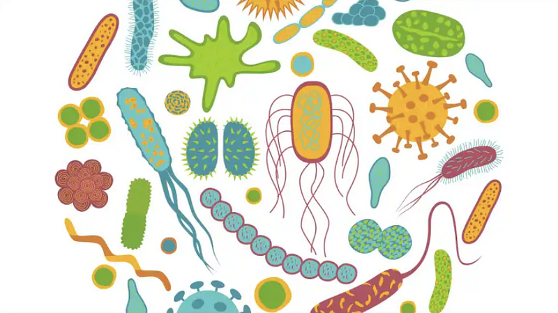 Diverse Microbiome Importance