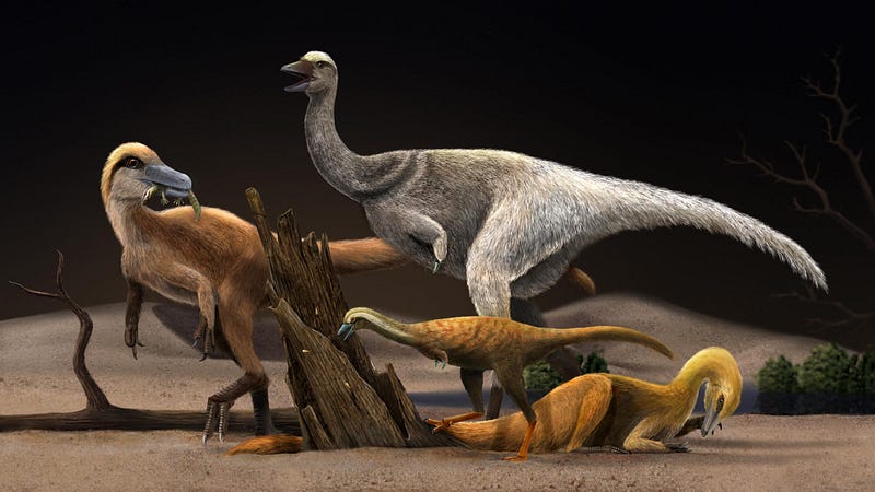 Artistic reconstruction of Alvarezsauroids