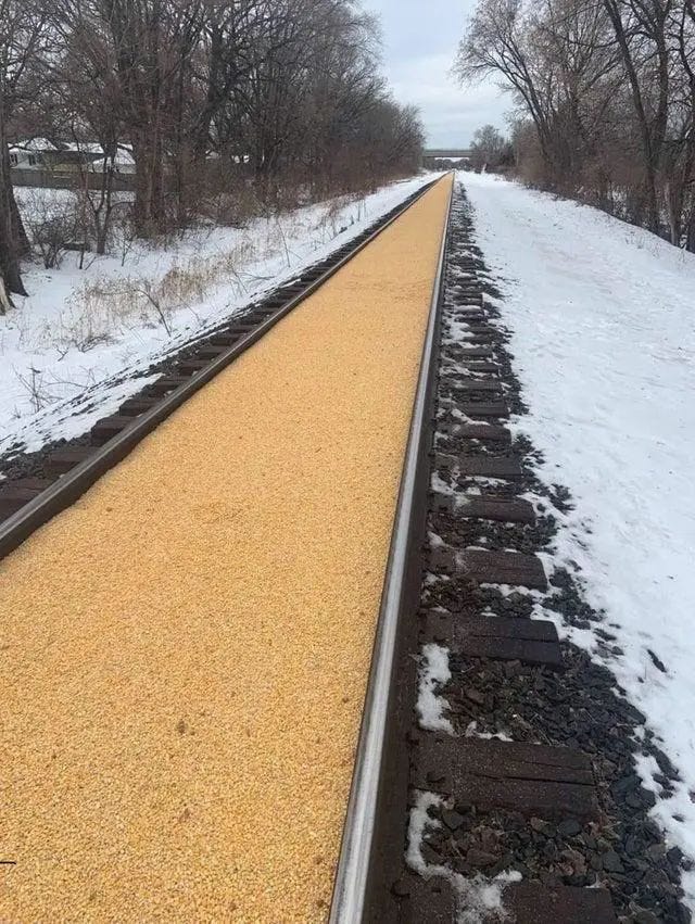 A train accident involving corn in Minnesota.