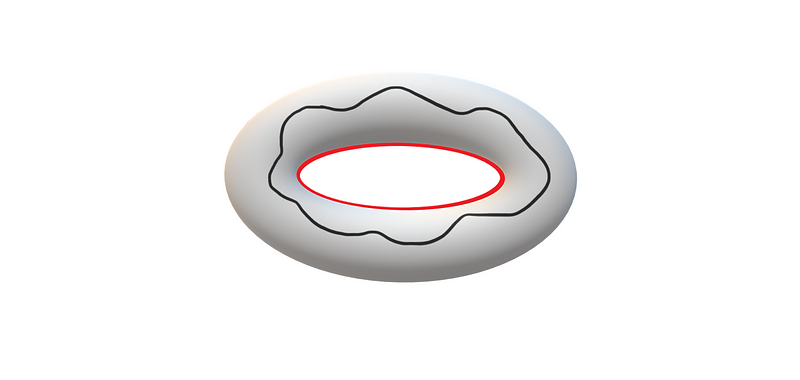 Deformation of a loop around a torus