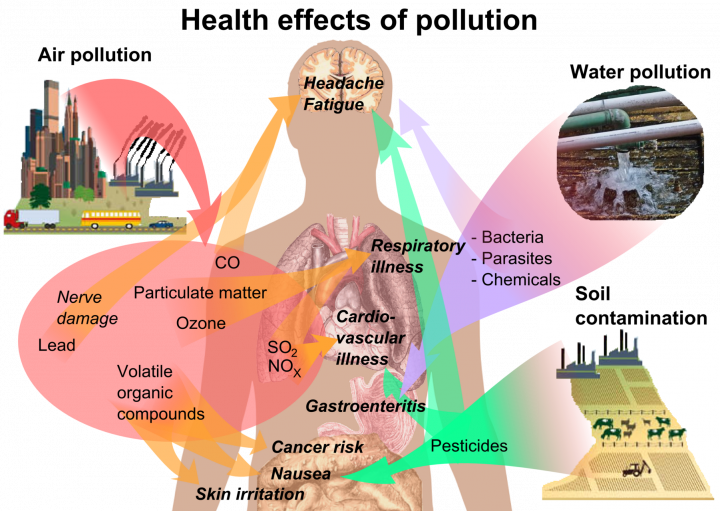 Health impacts of air pollution