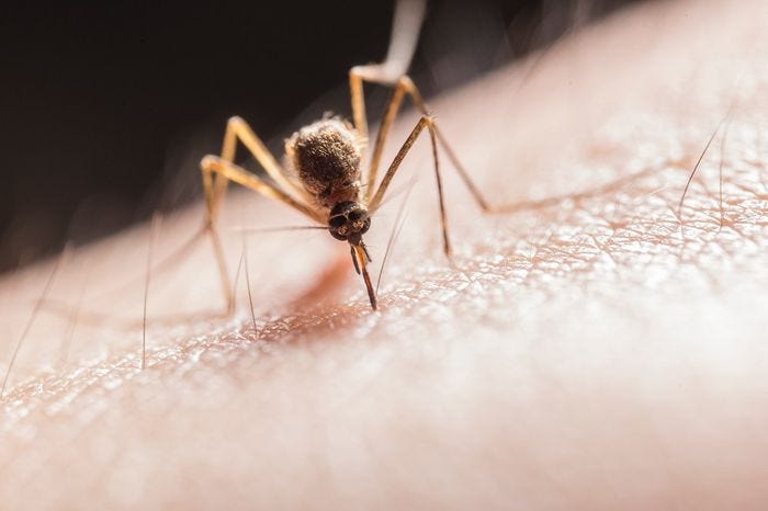 Microneedle patch applied to the skin for malaria detection