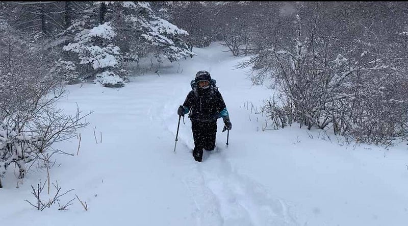 Ruby navigating the wilderness