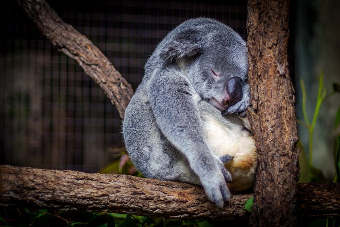 A serene outdoor scene illustrating the value of breaks.