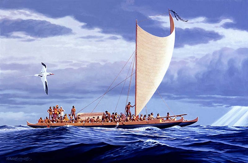 Traditional double-hulled canoes used by Polynesian navigators