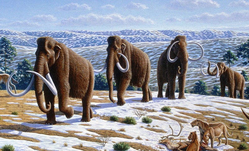 Ancient representations of mammoths