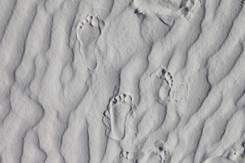 Gypsum dunes at White Sands National Park