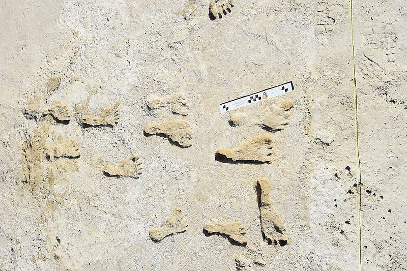 Close-up of ancient footprints